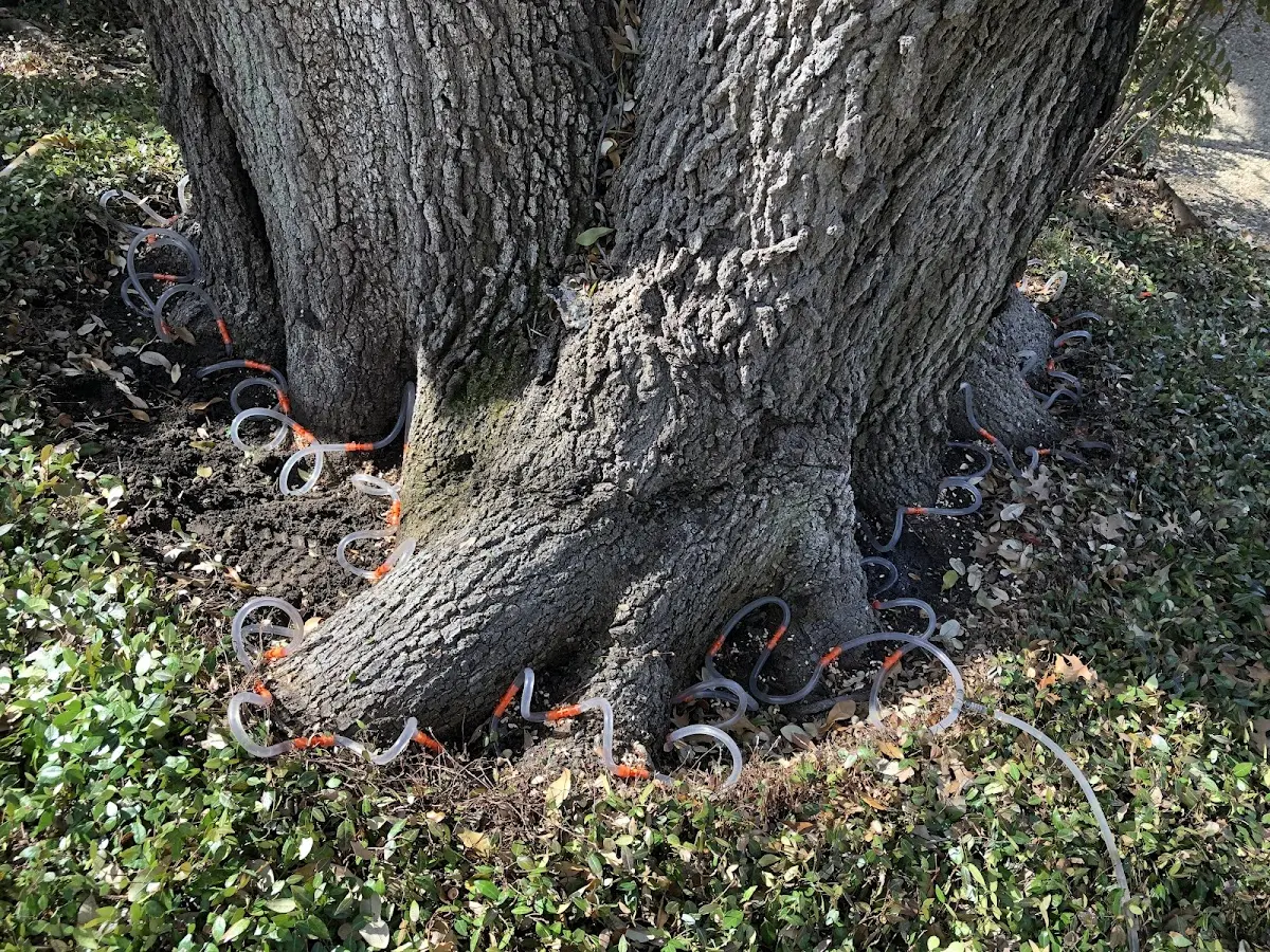 Detailed Shrub and Hedge Trimming job site in Tower City